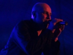 gallery-1428091951.jpg
